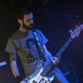 GutterPunk - Professional Concert Photography